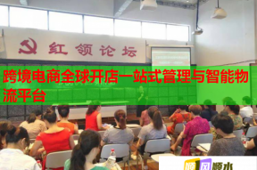 跨境电商全球开店一站式管理与智能物流平台