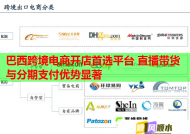 巴西跨境电商开店首选平台 直播带货与分期支付优势显著