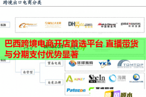 巴西跨境电商开店首选平台 直播带货与分期支付优势显著