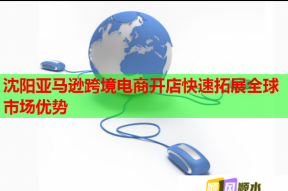 沈阳亚马逊跨境电商开店快速拓展全球市场优势