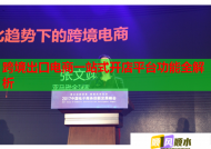 跨境出口电商一站式开店平台功能全解析