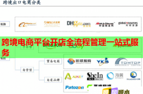 跨境电商平台开店全流程管理一站式服务