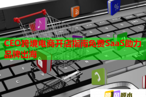 CEO跨境电商开店指南免费SaaS助力品牌出海