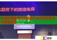 中东跨境电商开店首选平台多币种支付与极速物流