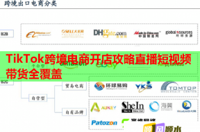 TikTok跨境电商开店攻略直播短视频带货全覆盖