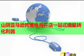 山阴亚马逊跨境电商开店一站式流量转化利器