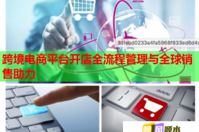 跨境电商平台开店全流程管理与全球销售助力