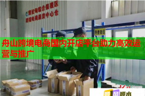 舟山跨境电商国内开店平台助力高效运营与推广
