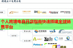 个人跨境电商开店指南快速搭建全球销售平台