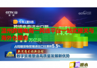 温州跨境电商一网通平台一站式报关与海外仓服务