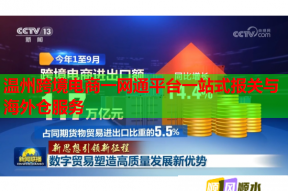 温州跨境电商一网通平台一站式报关与海外仓服务