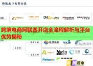 跨境电商阿联酋开店全流程解析与平台优势揭秘