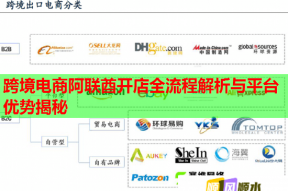 跨境电商阿联酋开店全流程解析与平台优势揭秘
