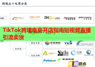 TikTok跨境电商开店指南短视频直播引流卖货