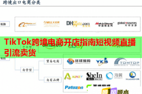 TikTok跨境电商开店指南短视频直播引流卖货
