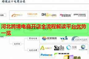 河北跨境电商开店全流程解读平台优势一览