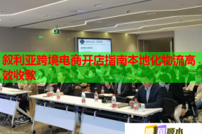 叙利亚跨境电商开店指南本地化物流高效收款