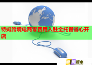 特姆跨境电商零费用入驻全托管省心开店