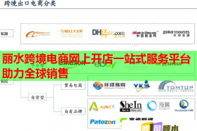 丽水跨境电商网上开店一站式服务平台助力全球销售
