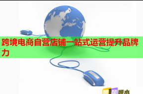 跨境电商自营店铺一站式运营提升品牌力