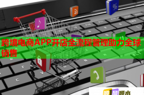 跨境电商APP开店全流程管理助力全球销售