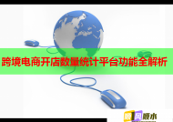 跨境电商开店数量统计平台功能全解析