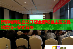 跨境电商独立站开店全流程自主建站品牌营销一站式解决
