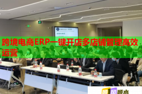 跨境电商ERP一键开店多店铺管理高效运营