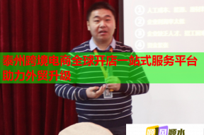 泰州跨境电商全球开店一站式服务平台助力外贸升级