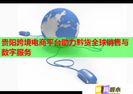 贵阳跨境电商平台助力黔货全球销售与数字服务