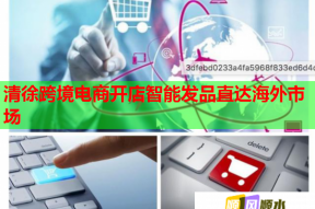 清徐跨境电商开店智能发品直达海外市场