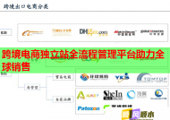 跨境电商独立站全流程管理平台助力全球销售