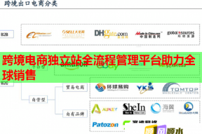 跨境电商独立站全流程管理平台助力全球销售