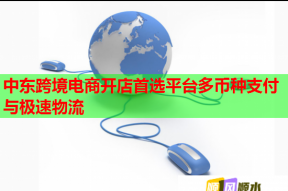 中东跨境电商开店首选平台多币种支付与极速物流