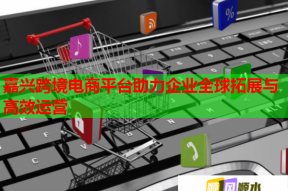 嘉兴跨境电商平台助力企业全球拓展与高效运营