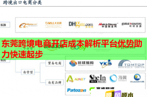 东莞跨境电商开店成本解析平台优势助力快速起步