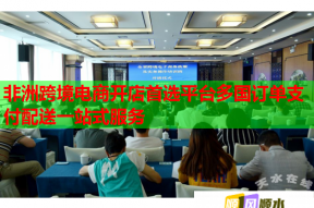 非洲跨境电商开店首选平台多国订单支付配送一站式服务