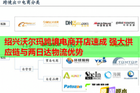 绍兴沃尔玛跨境电商开店速成 强大供应链与两日达物流优势