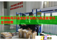 跨境电商开店全能平台助力商品管理与全球销售