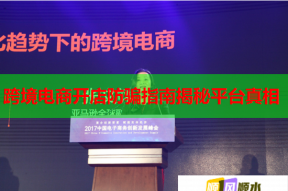 跨境电商开店防骗指南揭秘平台真相