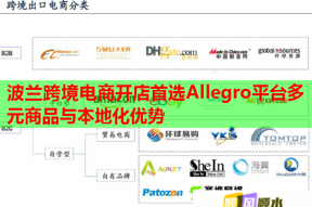 波兰跨境电商开店首选Allegro平台多元商品与本地化优势