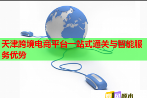 天津跨境电商平台一站式通关与智能服务优势