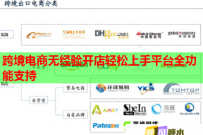 跨境电商无经验开店轻松上手平台全功能支持
