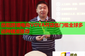 岳阳跨境电商VOVA开店低门槛全球多语种精准推荐
