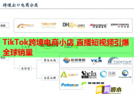 TikTok跨境电商小店 直播短视频引爆全球销量