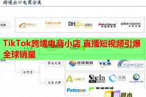 TikTok跨境电商小店 直播短视频引爆全球销量