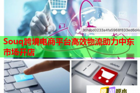 Souq跨境电商平台高效物流助力中东市场开店
