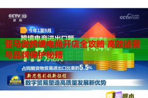 亚马逊跨境电商开店全攻略 高效运营与品牌保护秘籍