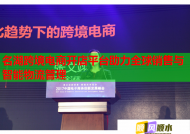 名湖跨境电商开店平台助力全球销售与智能物流管理