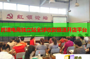 跨境电商独立站全球收款极速开店平台